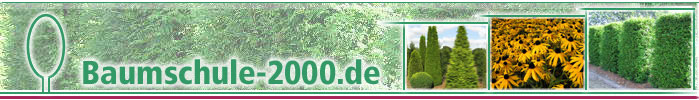 Baumschule-2000.de - Bäume und Pflanzen wie Taxus, Thuja, Kirschlorbeer und mehr.-Logo